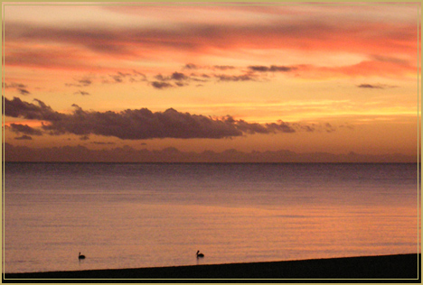 CMC Home builder, home Construction - building homes in Los Barriles for 15 years, Baja BCS